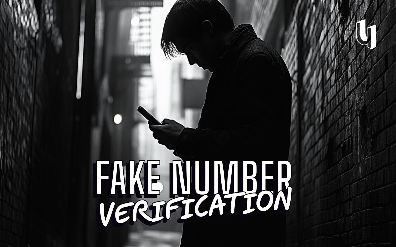 Number Verification